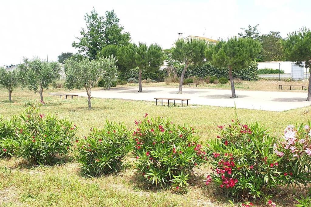 Un Bol D'Air Frais Et De Soleil Entre Campagne Et Plage Villa Béziers Kültér fotó